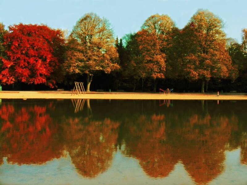 Autumn Trees by Lake — Red, Serene, Photograph, Playground Equipment