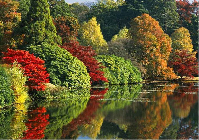 Autumn Trees by Lake — Red, Serene, Photograph, Reflection, Forest