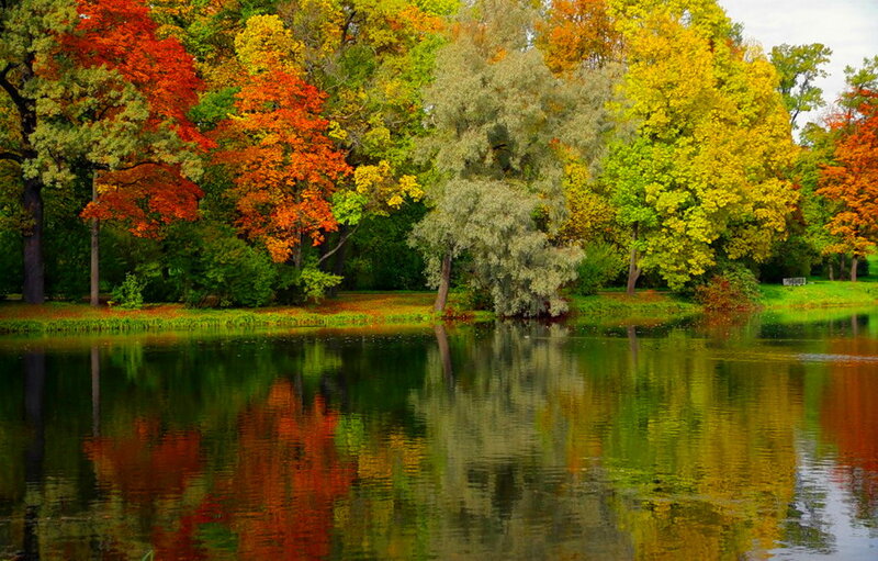 Autumn Trees by Lake — Red, Serene, Photograph, Reflection, Grass