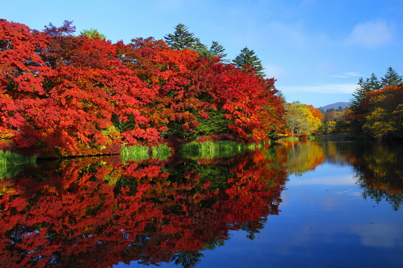 Autumn Trees by Lake — Red, Serene, Photograph, Reflection, Mountain