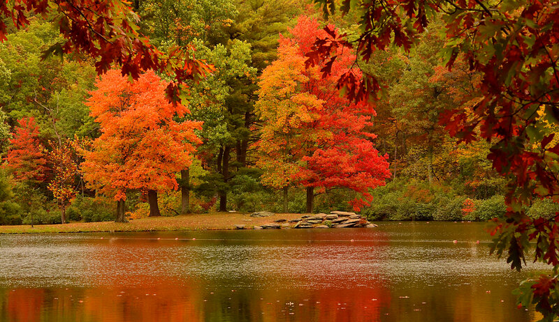 Autumn Trees by Lake — Red, Serene, Photograph, Reflection, Rocks
