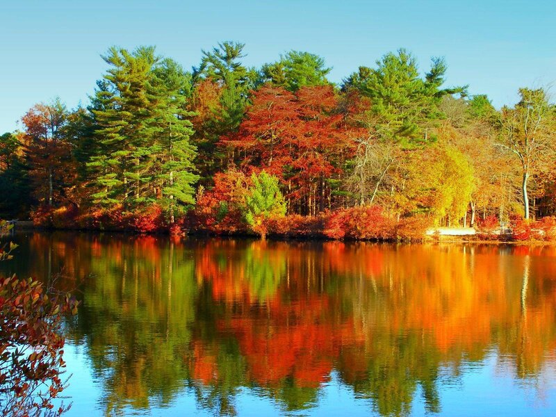 Autumn Trees by Lake — Red, Serene, Photograph, Reflection, Sky