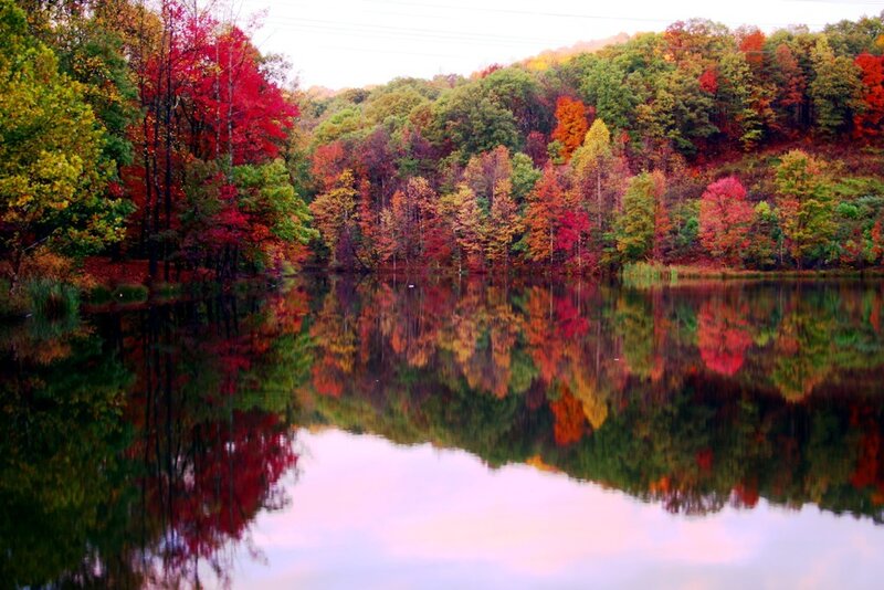 Autumn Trees by Lake — Red, Serene, Photograph, Reflection