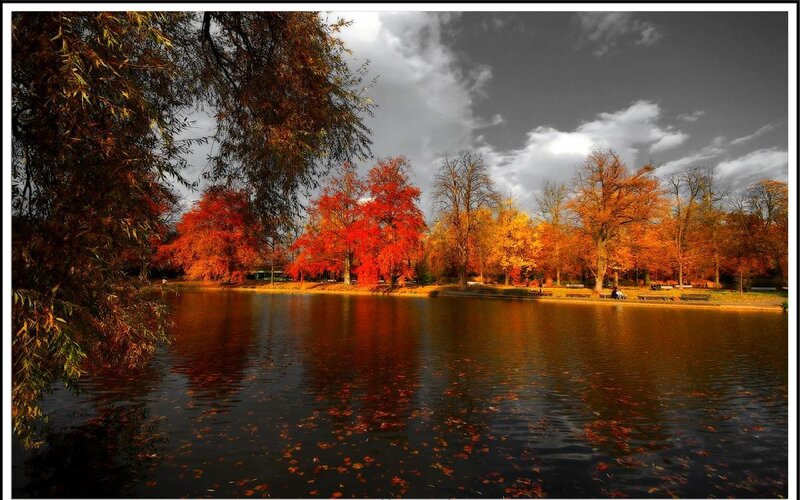 Autumn Trees by Lake — Red, Serene, Photograph, Sky, Bench