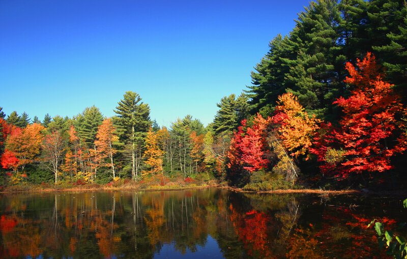 Autumn Trees by Lake — Red, Serene, Photograph, Sky