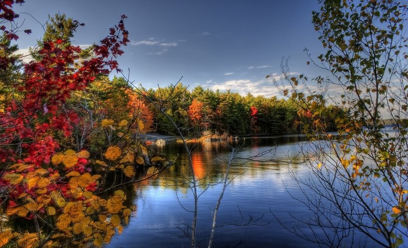 Autumn Trees by Lake — Red, Serene, Photograph
