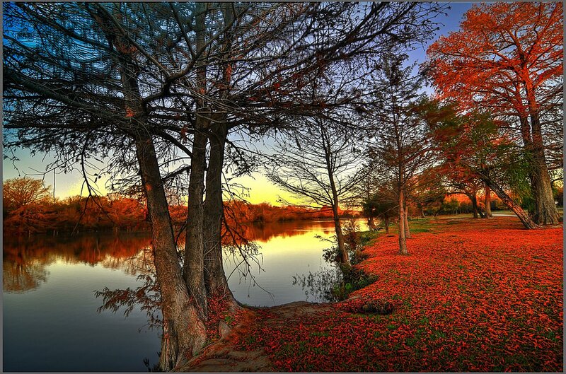 Autumn Trees by Lake — Red, Serene, Sunset, Photograph