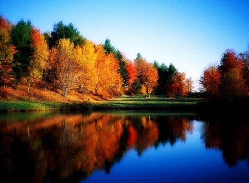 Autumn Trees by Lake — Serene, Green