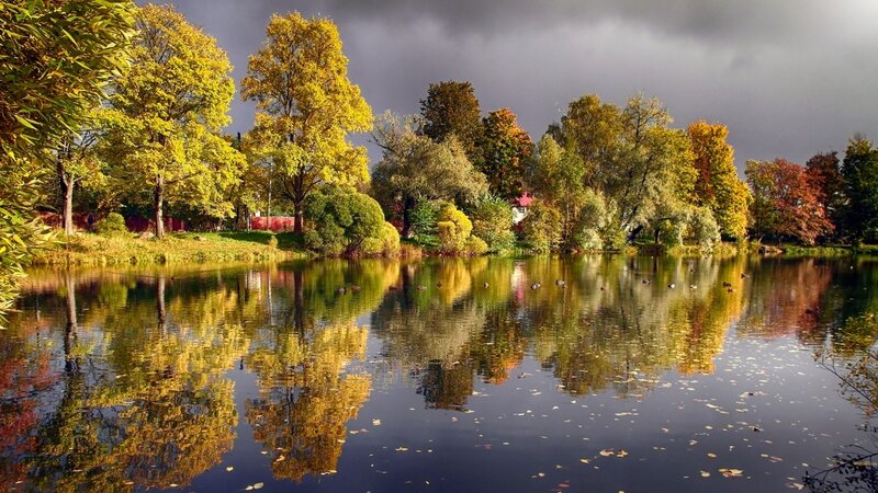 Autumn Trees by Lake — Yellow, Dramatic, Photograph, Clouds