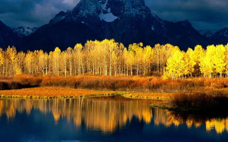 Autumn Trees by Lake — Yellow, Dramatic, Photograph, Mountains