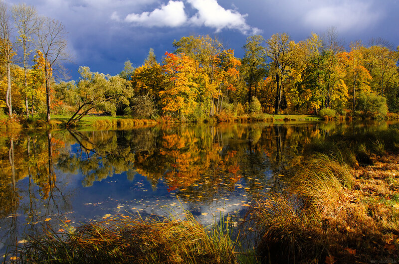 Autumn Trees by Lake — Yellow, Dramatic, Photograph, Sky