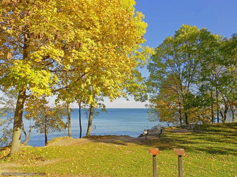 Autumn Trees by Lake — Yellow, Serene, Photograph, Bench, Green, Blue