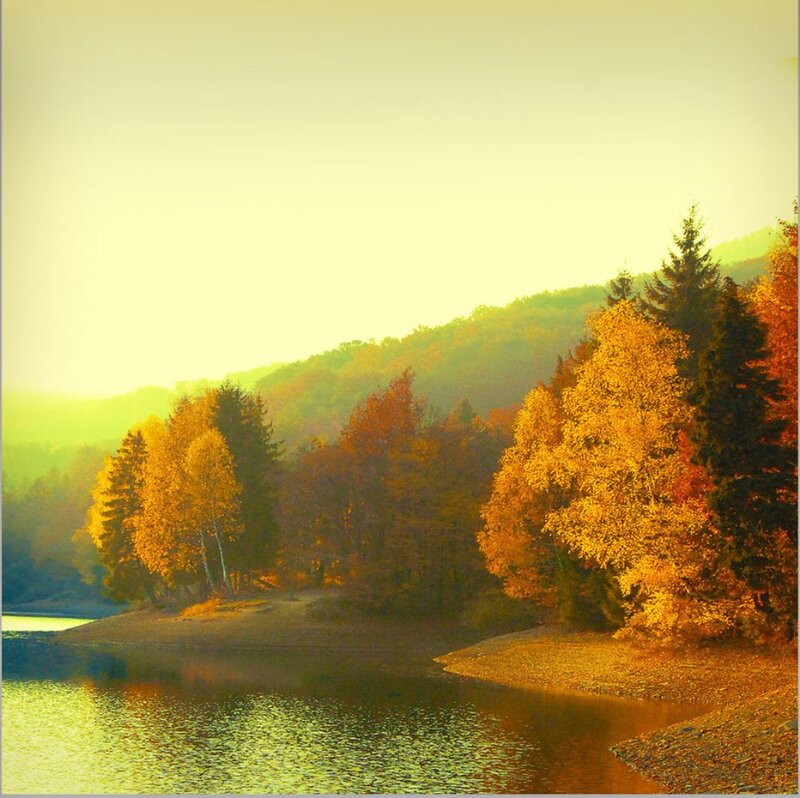 Autumn Trees by Lake — Yellow, Serene, Photograph, Forest, Hills