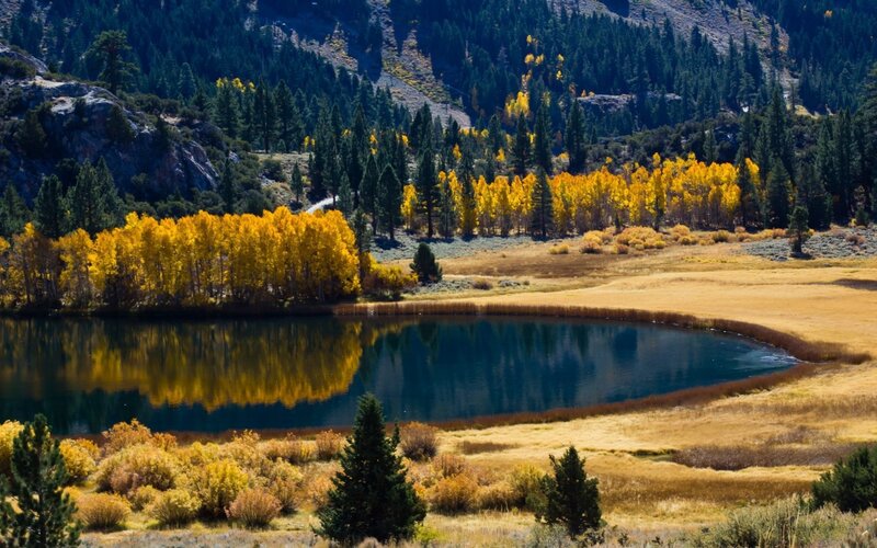 Autumn Trees by Lake — Yellow, Serene, Photograph, Forest, Mountain, Green, Blue