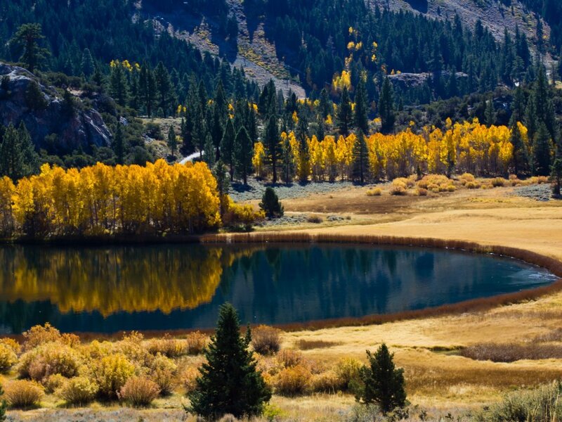 Autumn Trees by Lake — Yellow, Serene, Photograph, Forest, Mountain
