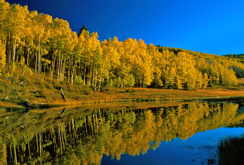 Autumn Trees by Lake — Yellow, Serene, Photograph, Hill