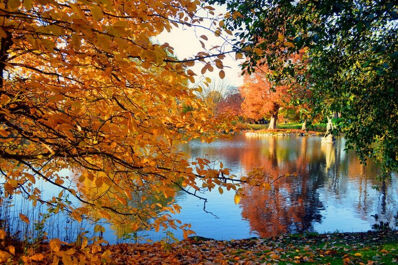 Autumn Trees by Lake — Yellow, Serene, Photograph, Leaves, Statue