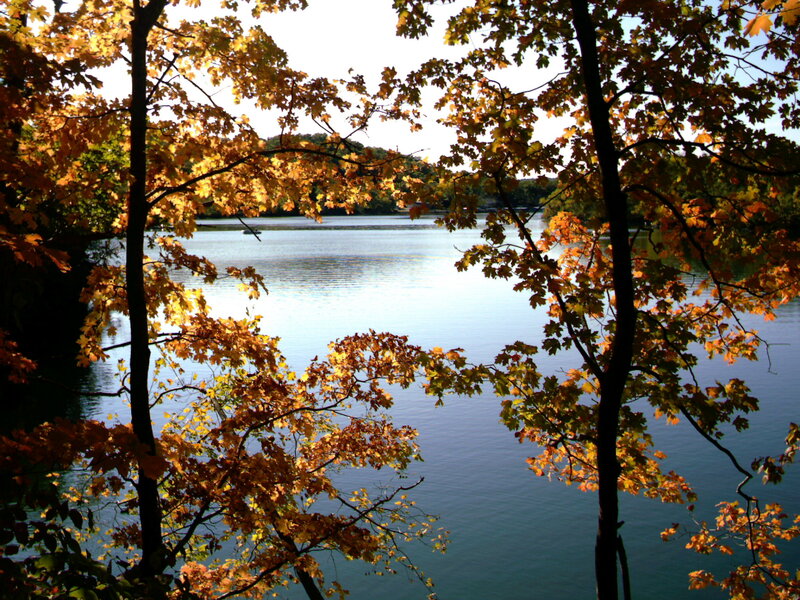 Autumn Trees by Lake — Yellow, Serene, Photograph, Leaves