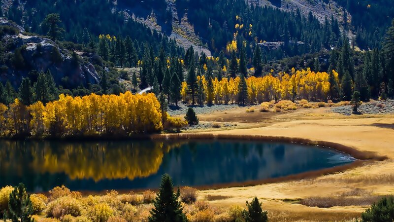 Autumn Trees by Lake — Yellow, Serene, Photograph, Mountain, Forest