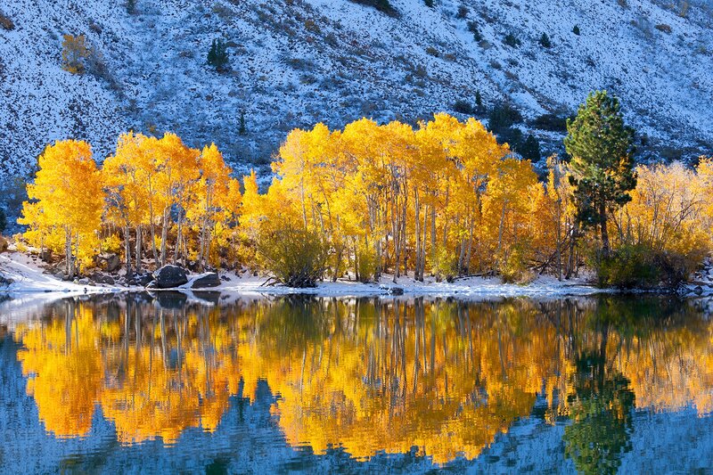 Autumn Trees by Lake — Yellow, Serene, Photograph, Mountain, Snow