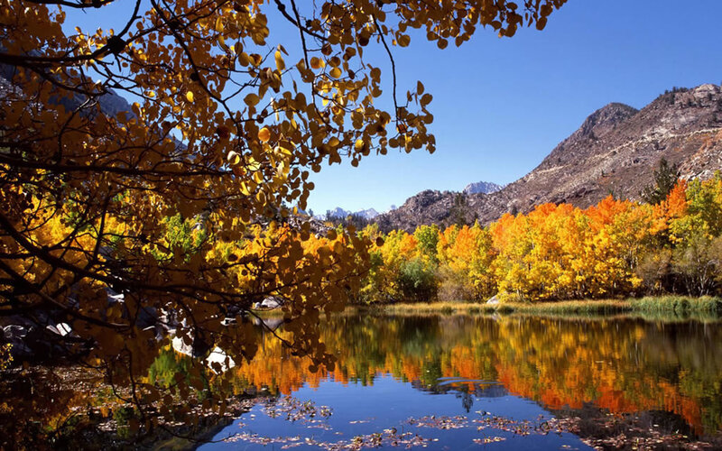 Autumn Trees by Lake — Yellow, Serene, Photograph, Mountains, Sky, Blue, Orange