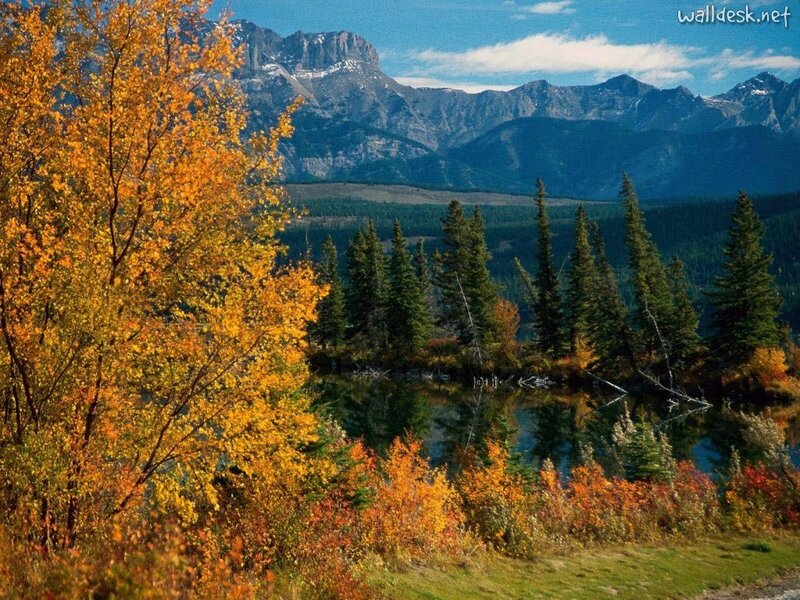 Autumn Trees by Lake — Yellow, Serene, Photograph, Mountains