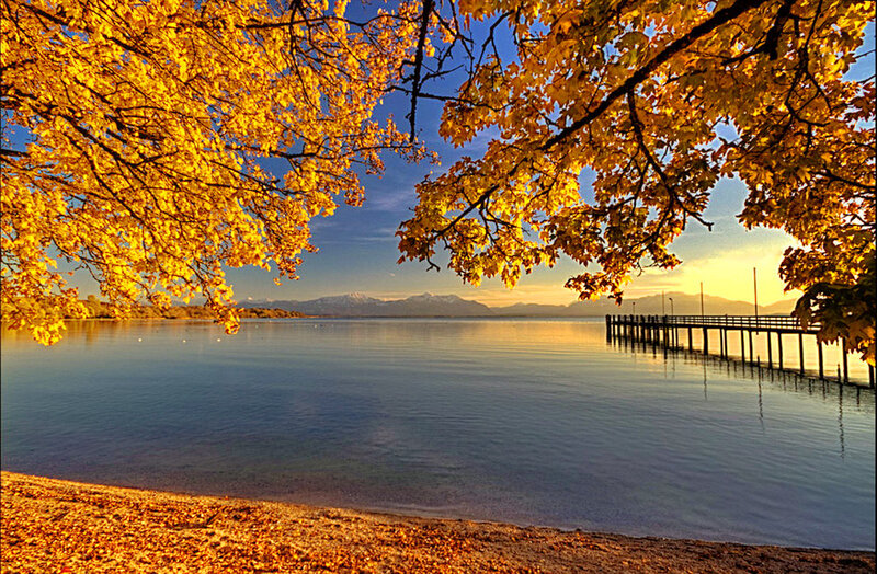 Autumn Trees by Lake — Yellow, Serene, Photograph, Pier