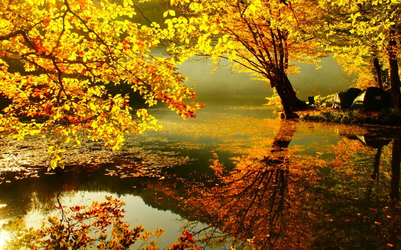 Autumn Trees by Lake — Yellow, Serene, Photograph, Reflection, Tents