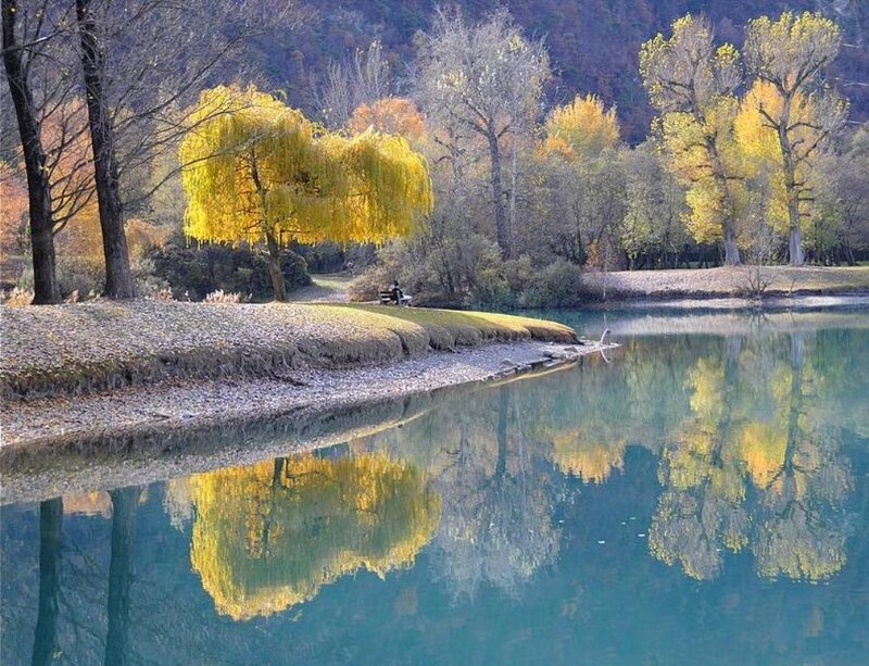 Autumn Trees by Lake — Yellow, Serene, Photograph, Reflection