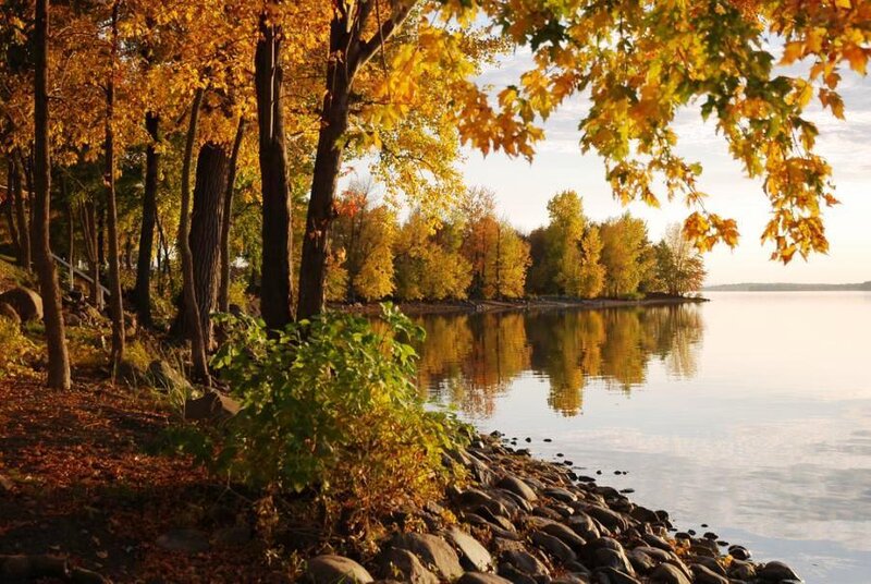 Autumn Trees by Lake — Yellow, Serene, Photograph, Rocks, Leaves