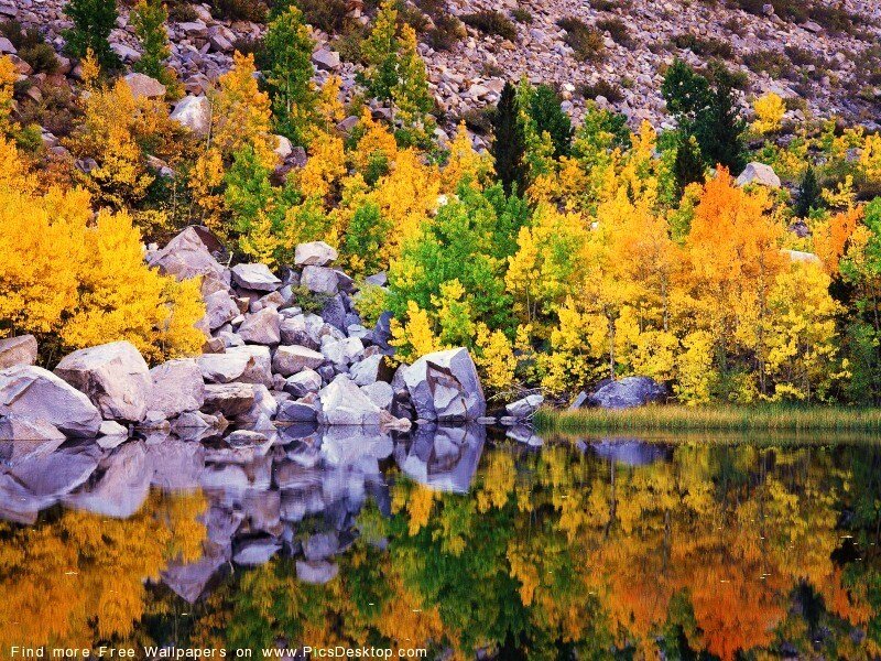 Autumn Trees by Lake — Yellow, Serene, Photograph, Rocks, Reflection
