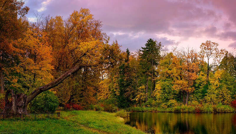 Autumn Trees by Lake — Yellow, Serene, Photograph, Sky, Grass