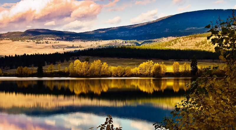 Autumn Trees by Lake — Yellow, Serene, Sunset
