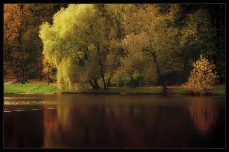 Autumn Trees by Lake — Yellow, Serene