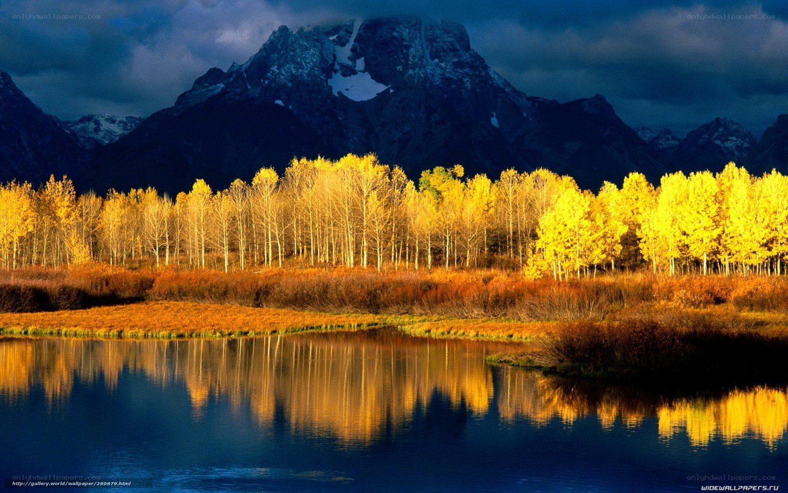 Autumn trees by mountain lake