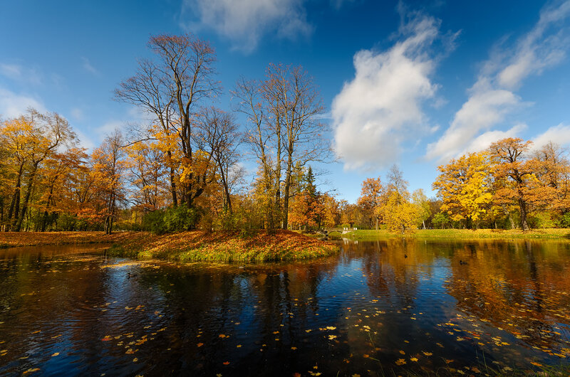 Autumn Trees by Pond — Blue, Serene, Photograph, Clouds