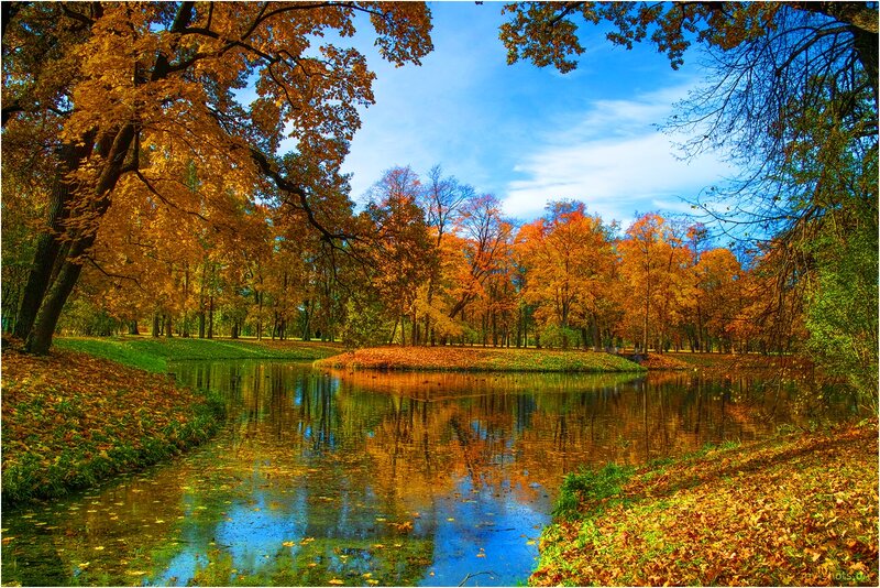 Autumn Trees by Pond — Blue, Serene, Photograph, Leaves, Sky