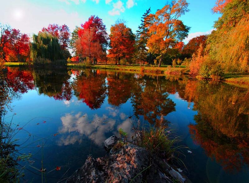 Autumn Trees by Pond — Blue, Serene, Photograph, Reflection