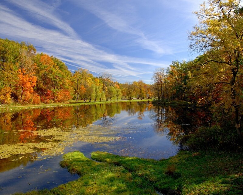 Autumn Trees by Pond — Blue, Serene, Photograph, Sky, Grass, Green, Orange