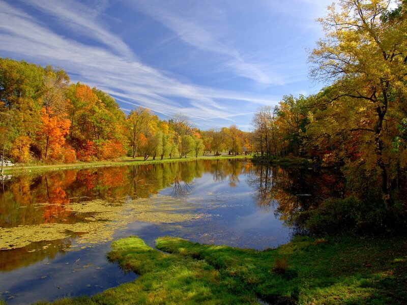 Autumn Trees by Pond — Blue, Serene, Photograph, Sky