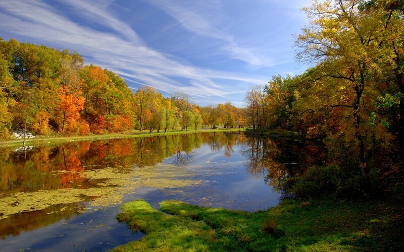 Autumn Trees by Pond — Blue, Serene, Photograph