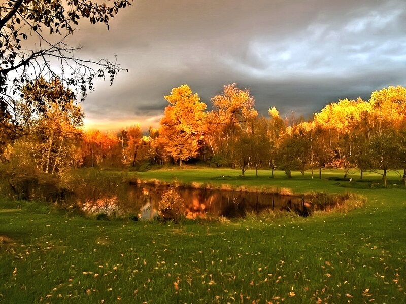 Autumn Trees by Pond — Green, Dramatic, Sunset