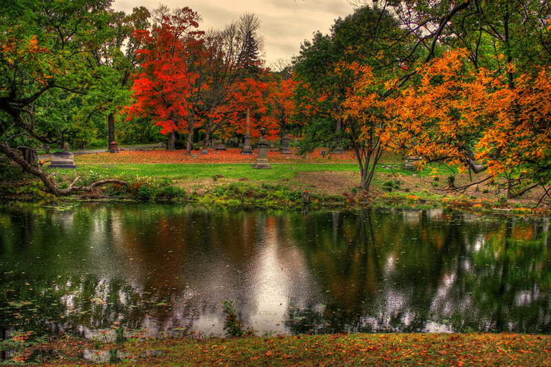 Autumn Trees by Pond — Green, Serene, Photograph, Gravestones