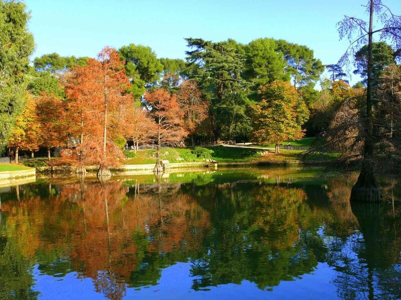 Autumn Trees by Pond — Green