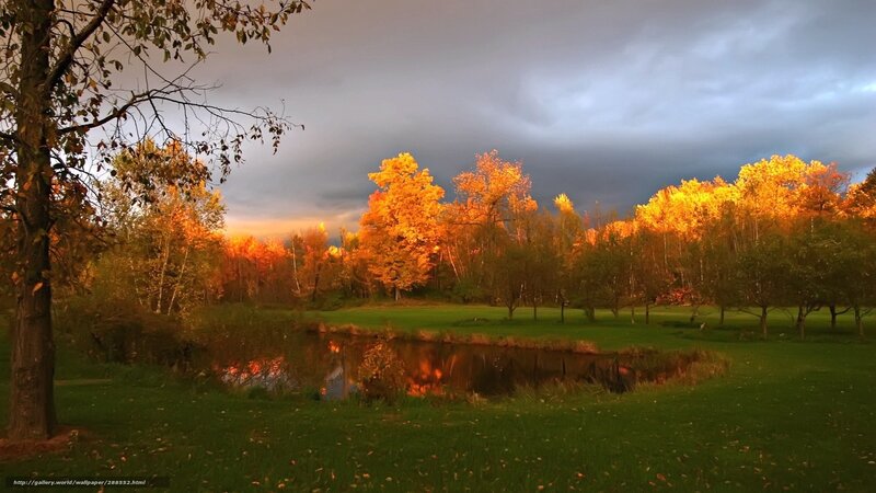 Autumn Trees by Pond — Orange, Dramatic, Sunset, Photograph, Sky