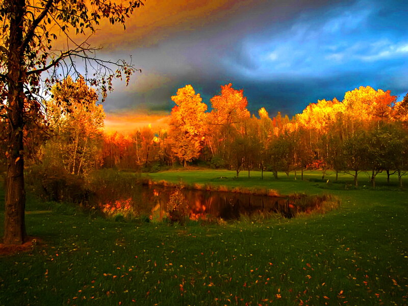 Autumn Trees by Pond — Orange, Dramatic, Sunset
