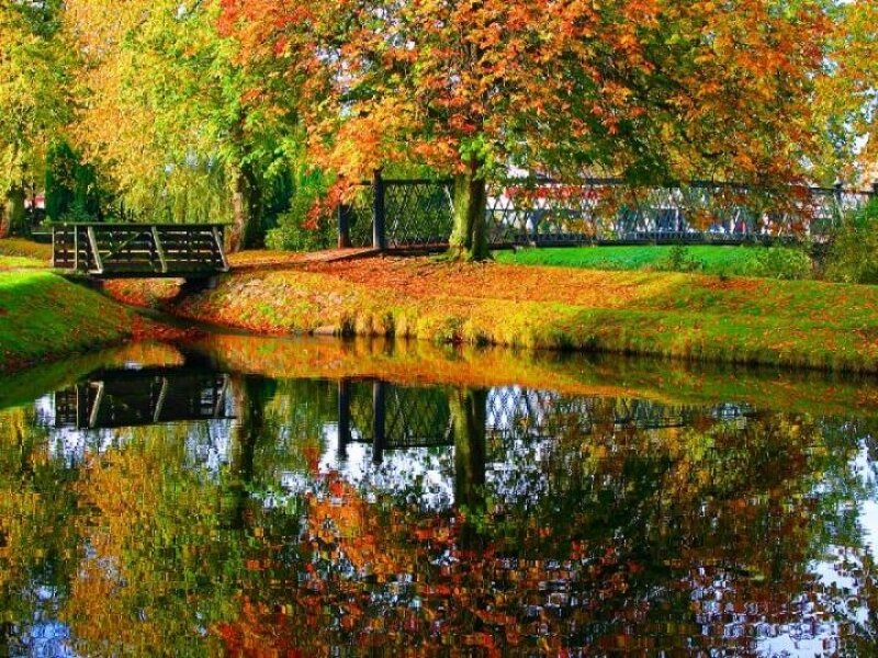 Autumn Trees by Pond — Orange, Serene, Photograph, Bridge, Grass