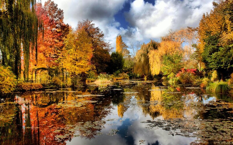 Autumn Trees by Pond — Orange, Serene, Photograph, Clouds