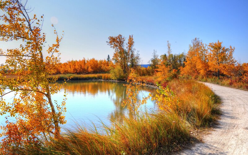 Autumn Trees by Pond — Orange, Serene, Photograph, Dirt Path