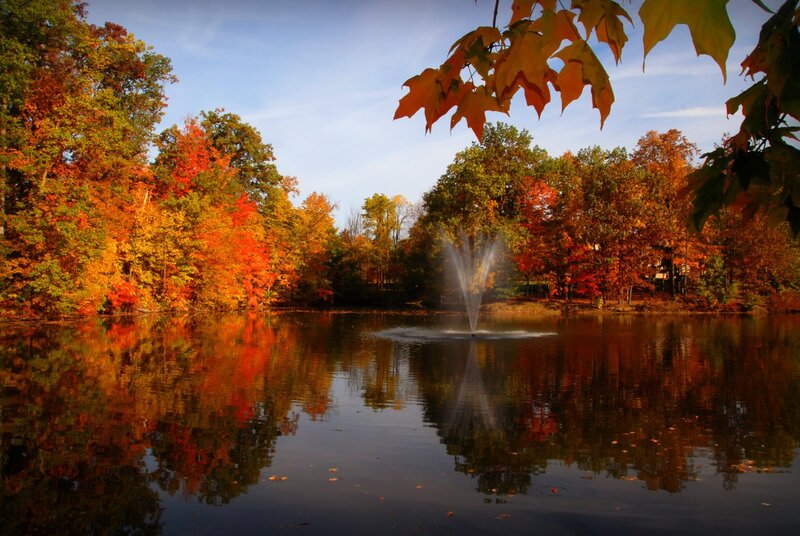 Autumn Trees by Pond — Orange, Serene, Photograph, Fountain, Leaves